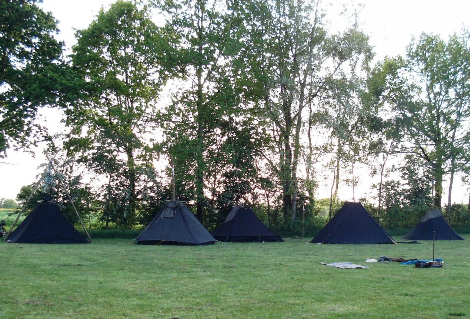 Schwarze Zelte auf einer Wiese am Waldrand